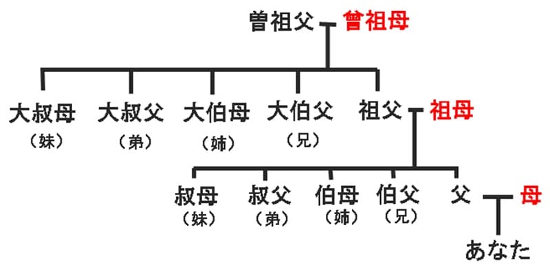 家系図